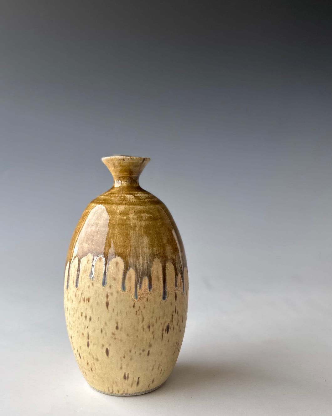 Bottle Vase Collection by KJ MacAlister