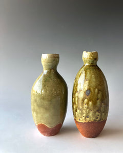 Bottle Bud Vase Collection by KJ MacAlister