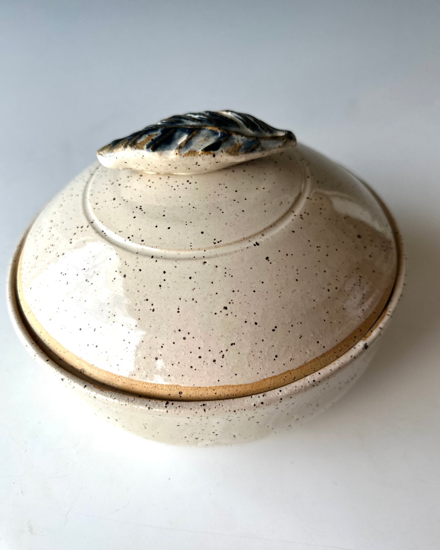 Lidded Casserole Dish