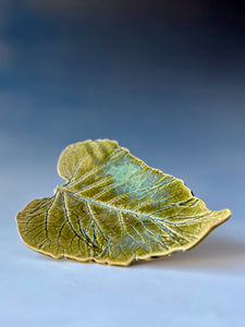 Leaf Dish by Sheila Macdonald